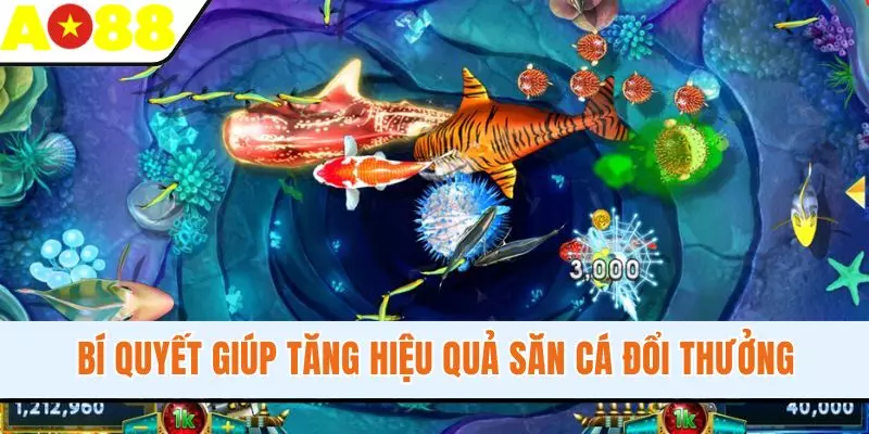 Bí quyết giúp tăng hiệu quả săn cá đổi thưởng