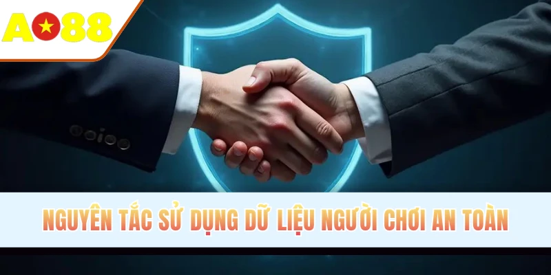 Nguyên tắc sử dụng dữ liệu người chơi an toàn