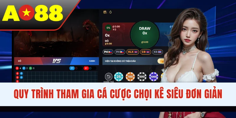 Quy trình tham gia cá cược chọi kê siêu đơn giản